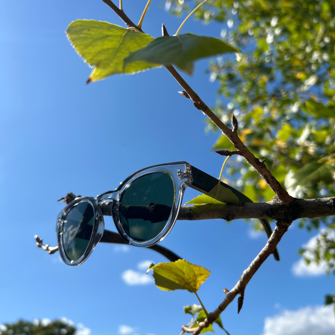 🌞 Why Unplugging at Camp Is a Superpoxwer for Today’s Kids