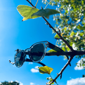 Forest Sunnies